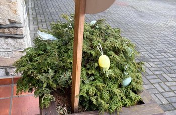 Podgląd zdjęcia IMG-20260401-WA0014