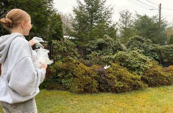 Podgląd zdjęcia IMG-20260401-WA0018