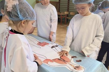 Podgląd zdjęcia wm7.jpg